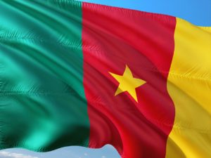 Cameroonの旗
